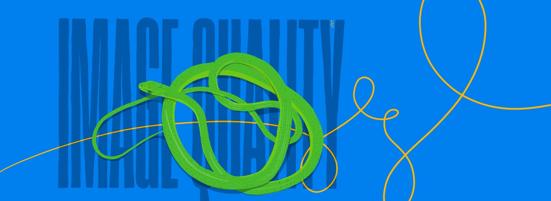 Serpente verde avvolto attorno alla scritta 'IMAGE QUALITY' su sfondo blu.